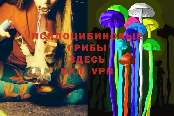 дживик Алексин