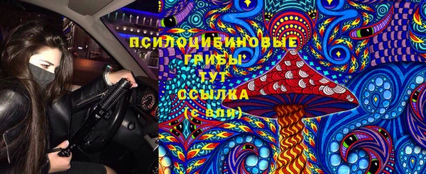 СК Алексеевка