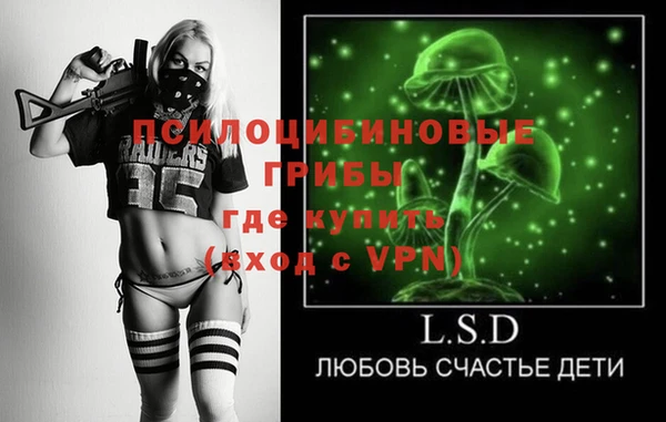 сатива Алзамай