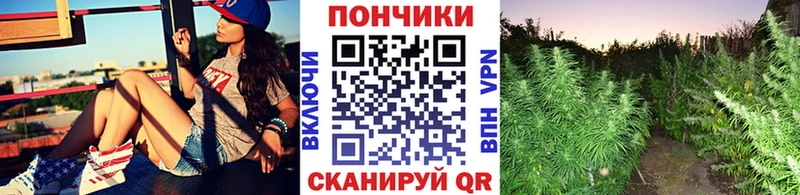 Бошки Шишки Ganja  ссылка на мегу tor  Сельцо 